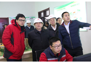 原国家能源局局长国务院参事徐锭明视察沈丘清洁取暖工作与一线员工亲切研讨
